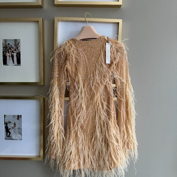 Rachel Gilbert Dresses & Skirts - NWT Rachel Gilbert Embellished Feather Mini Dress
